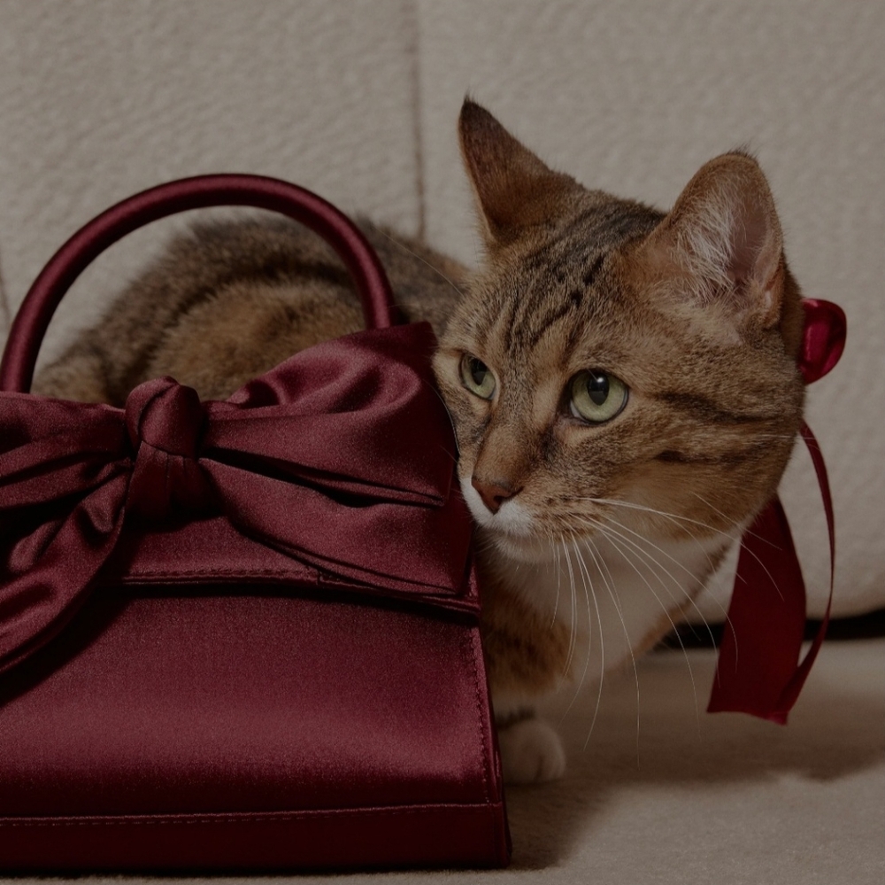 Aldo Wine Red Crossbody Bag with Bow